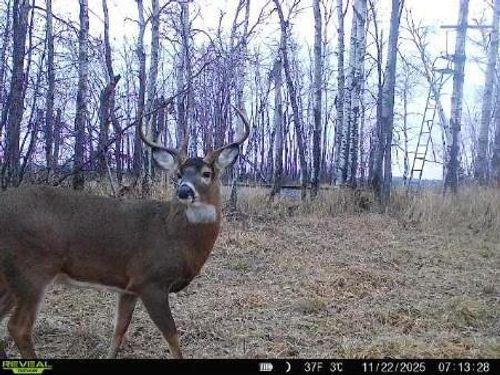 xxx Old 14 Rd, Weyerhaeuser, WI, 54895 | Card Image