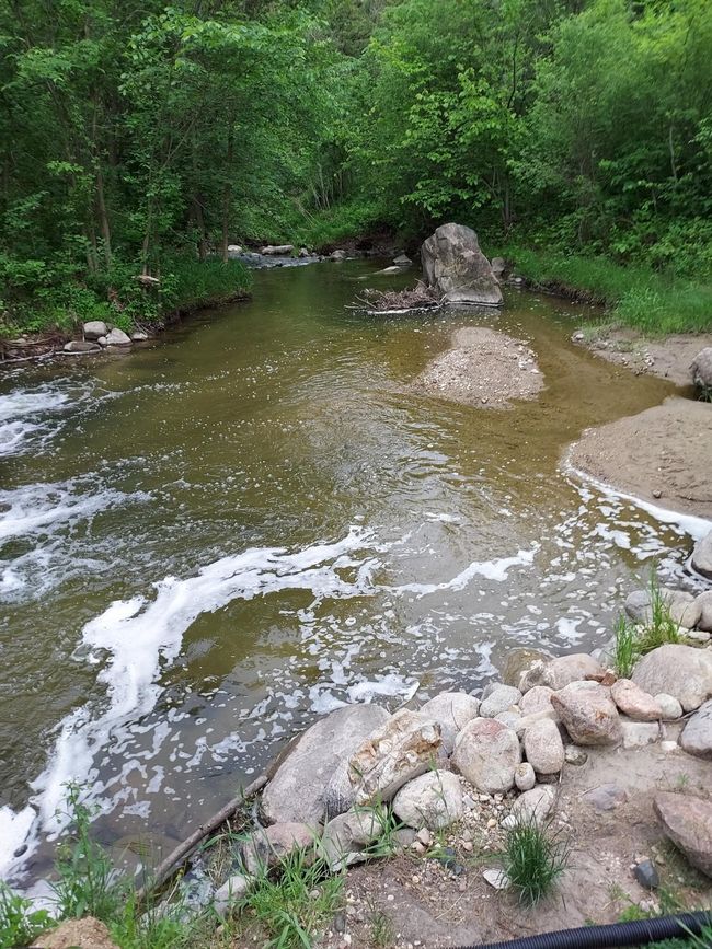 Creek | Image 4
