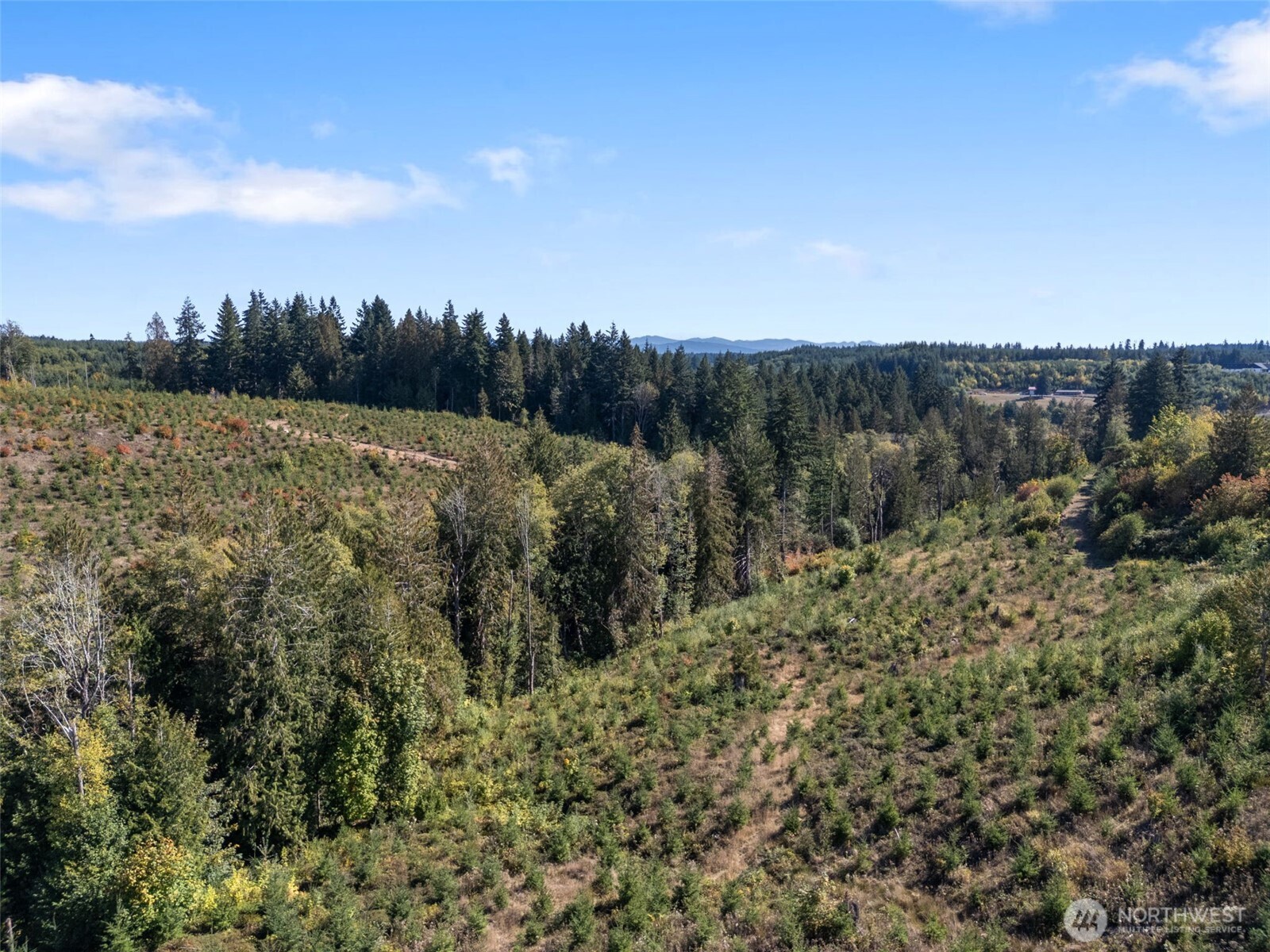 Land in Chehalis 3