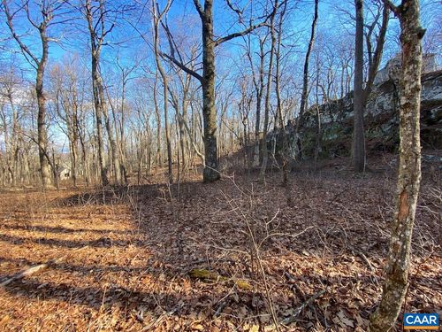 462 Deer Springs Ln, WINTERGREEN RESORT, VA, 22967-8066 | Card Image