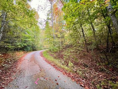 10.53 ac Nc Highway 294, Home with 0 bedrooms, 0 bathrooms and null parking in Murphy NC | Image 1