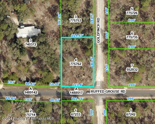 4 Goldfinch Road, WEEKI WACHEE, FL, 34614 | Card Image