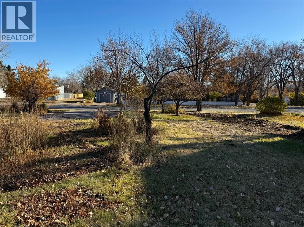 Land in Carmangay 2