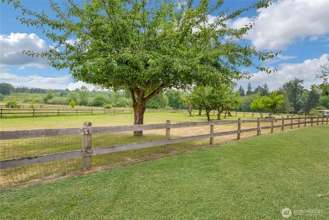 Beautiful orchard with apple, cherry and plum trees | Image 5