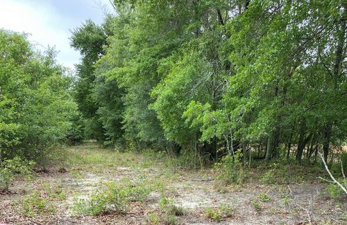 00 Salley Rd, North, SC, 29112 | Card Image