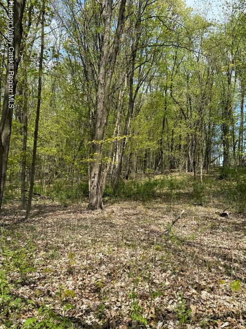 120 Floyd Ackert Rd, West Park, NY, 12493-7034 | Card Image