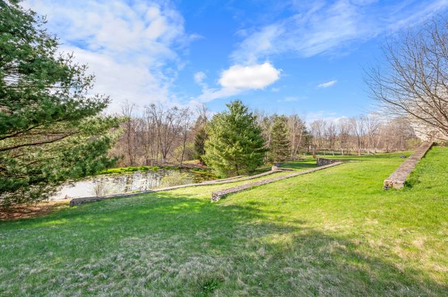View of the pond | Image 12