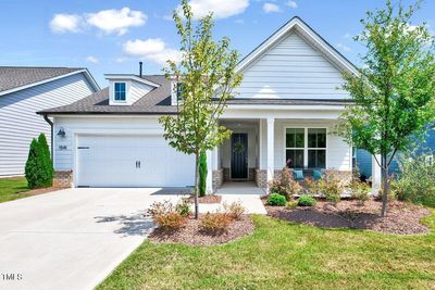 1541 Adonis Blue Wy-1 | Image 1