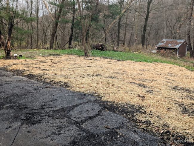 3825 Creek Rd, Home with 0 bedrooms, 0 bathrooms and null parking in Chaffee NY | Image 7