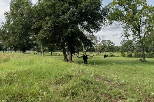 000 Aztec Ln, New Ulm, TX, 78950 | Card Image