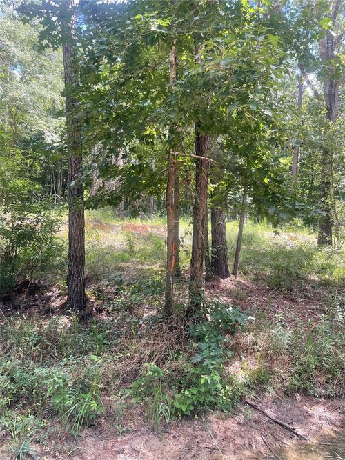 70 Tall Timbers Trl, Coldspring, TX, 77331-4466 | Card Image