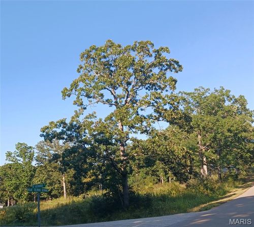 328 Saint Gerard St, Bonne Terre, MO, 63628-9252 | Card Image