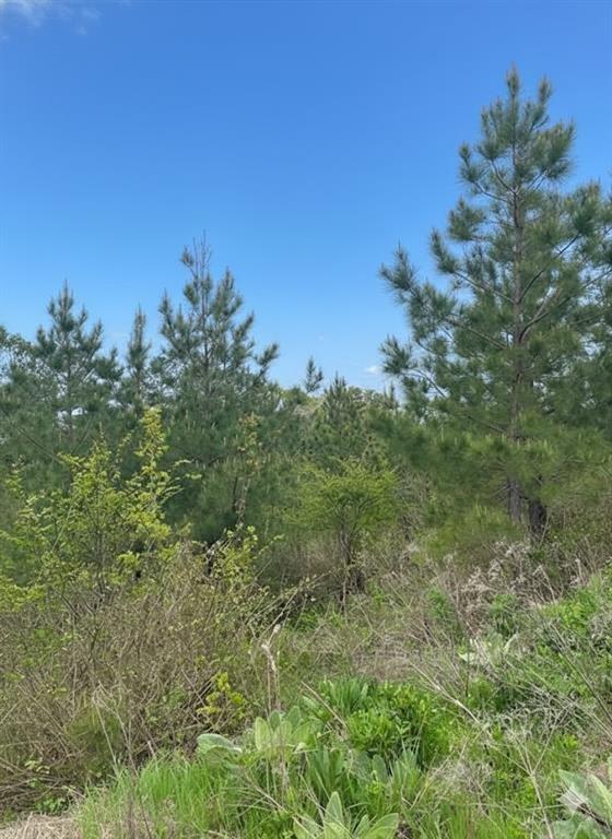 Land in Broken Bow