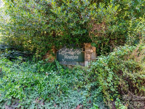 15-and-16-00 Rhododendron Drive, Saluda, NC, 28773 | Card Image