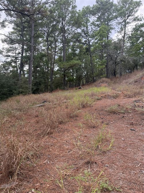 Lot 69 and 70 Taro Court, Bastrop, TX, 78602 | Card Image