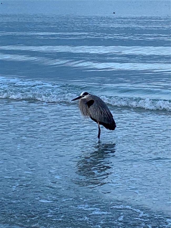 Beaches close by | Image 58