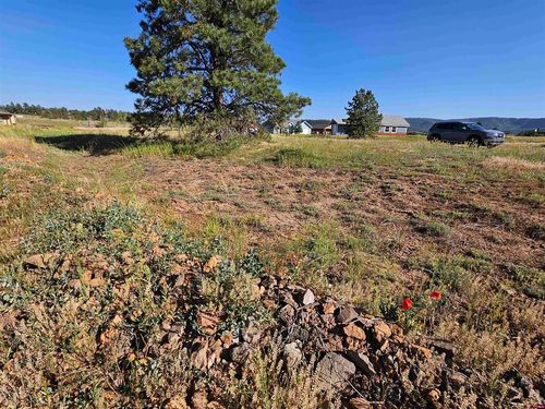33 Paradise Dr, Pagosa Springs, CO, 81147-9225 | Card Image
