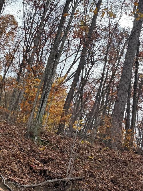 0 Bent Mountain Rd, Lerona, WV, 25971 | Card Image