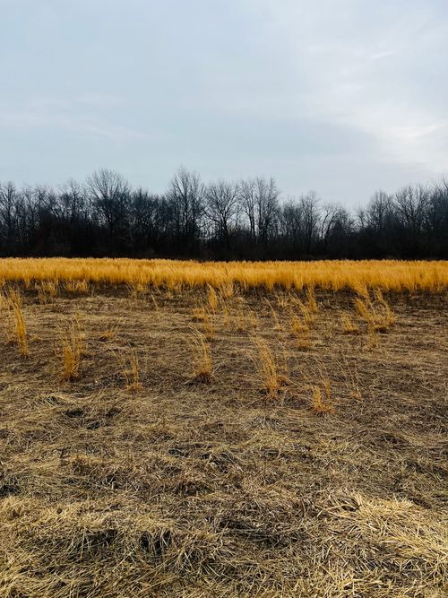 0001 E 4750s Rd, Pembroke Township, IL, 60958 | Card Image