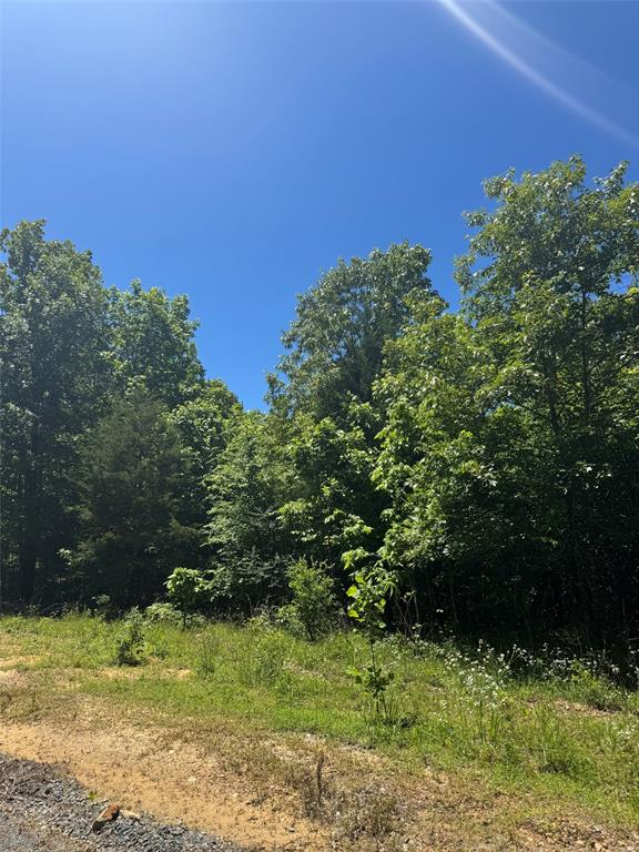 Land in Watson 4