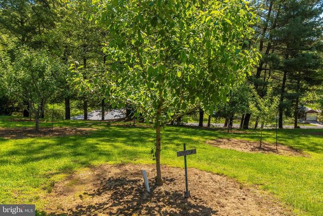 9632 Harmony Rd, House other with 3 bedrooms, 2 bathrooms and null parking in MYERSVILLE MD | Image 47