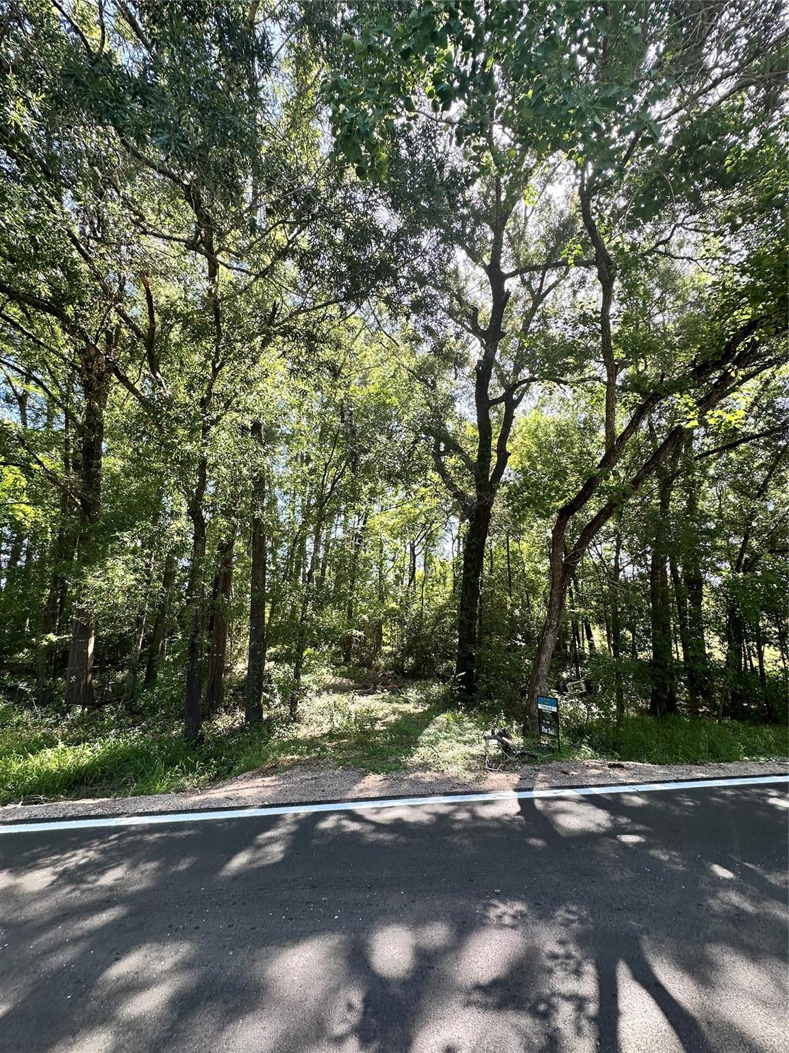 Land in Conroe