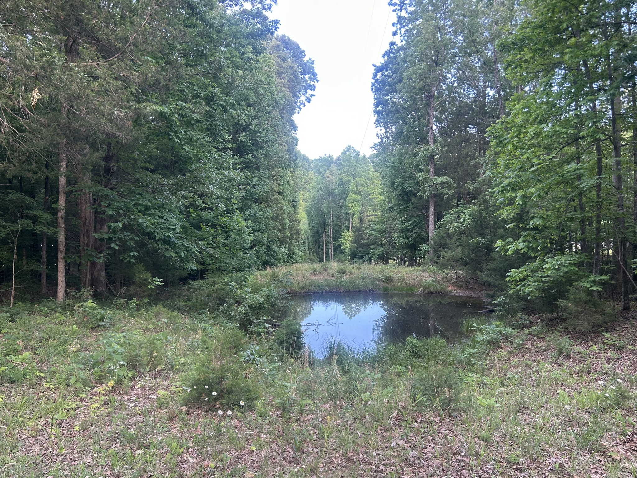 Land in Erin