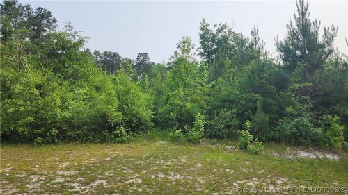 398 Dogwoods Trl, Lumber Bridge, NC, 28357-3400 | Card Image