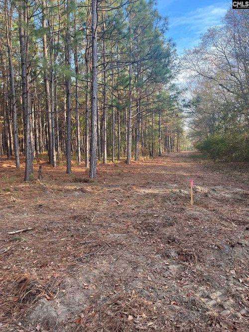 DSH 3 Wagener Road, Wagener, SC, 29164 | Card Image