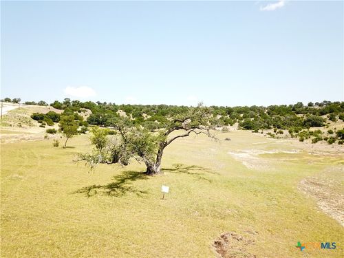 1644 Cottonwood Mesa Dr, Kempner, TX, 76539-8770 | Card Image