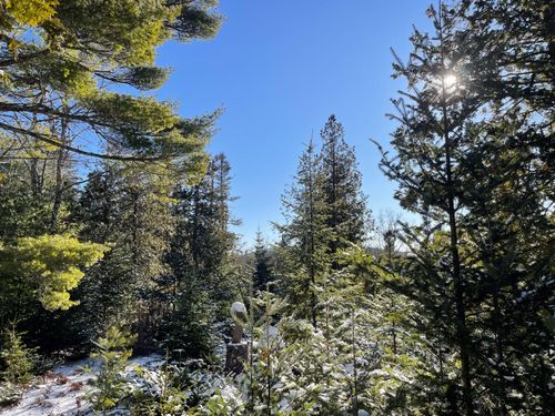 0 Juniper Ledge Road, Bar Harbor, ME, 04609 | Card Image