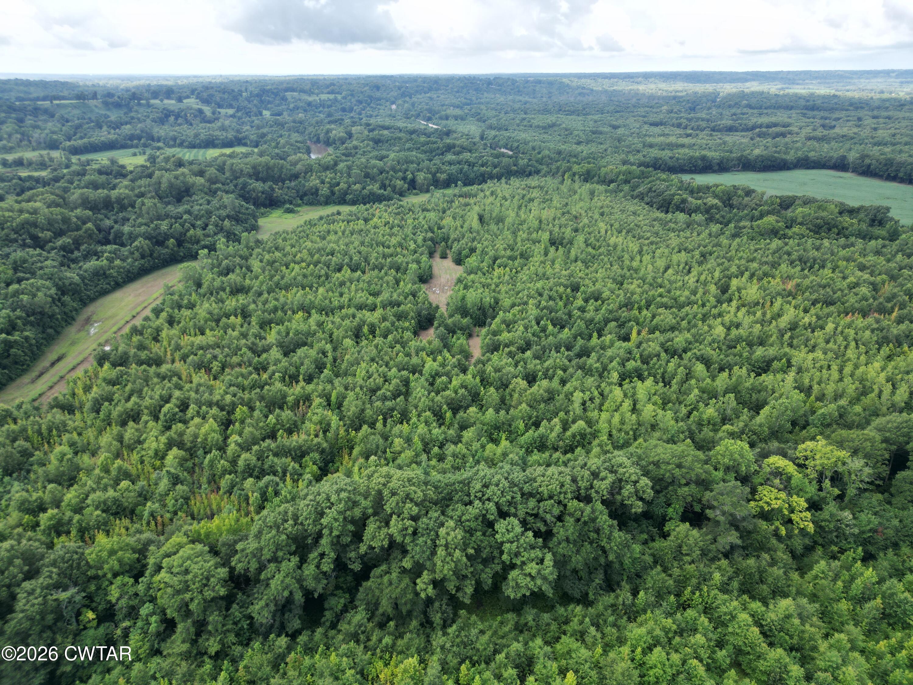 Land in Dyersburg 3
