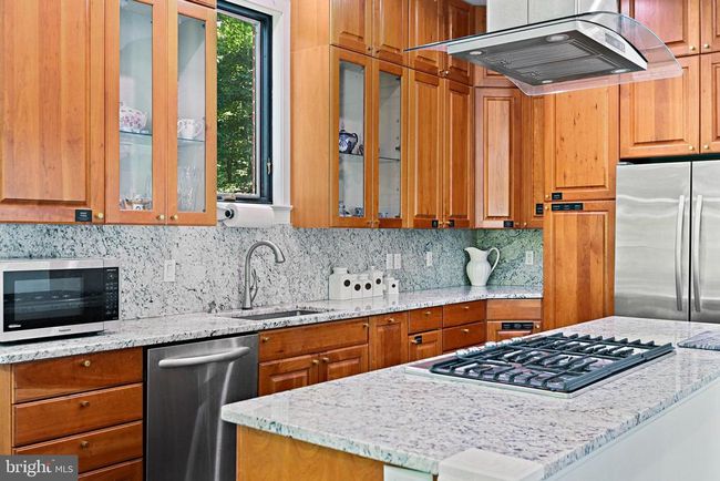 11101 Elmview Pl, House other with 5 bedrooms, 5 bathrooms and null parking in GREAT FALLS VA | Image 11