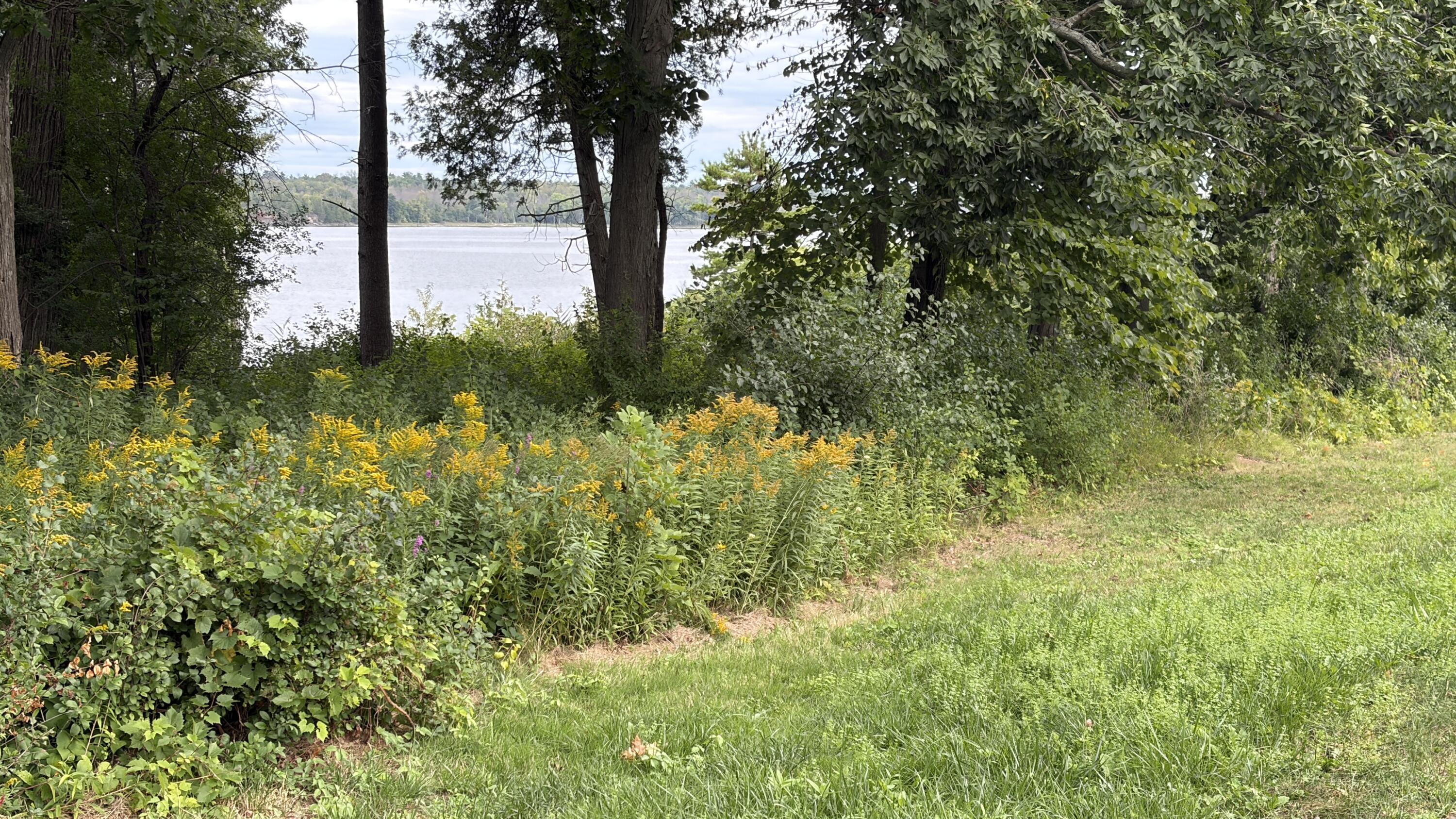 Land in Plattsburgh