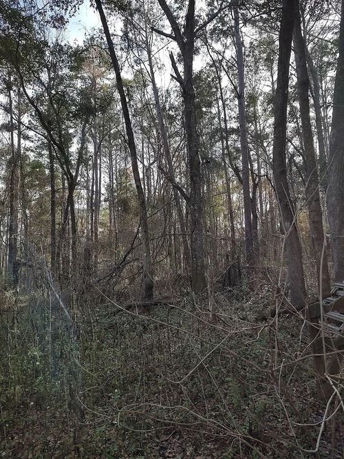 na-0 Ajax Road, TALLAHASSEE, FL, 32311 | Card Image