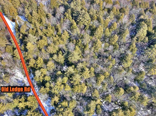 1 - 0 Old Ledge Road, Home with 0 bedrooms, 0 bathrooms and null parking in Westminster VT | Image 9