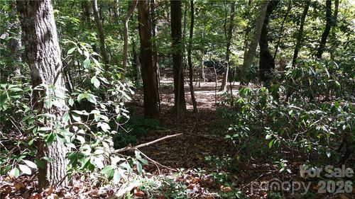 83-0 Grandview Dr, Lake Lure, NC, 28746 | Card Image