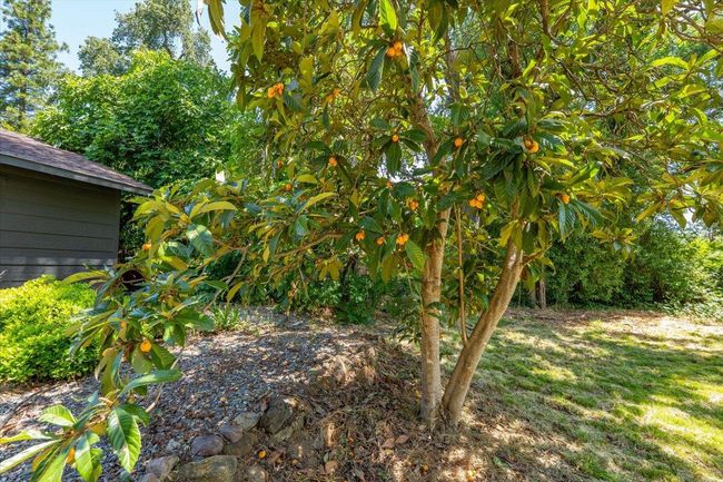 2551 S Waverly Ave, House other with 3 bedrooms, 2 bathrooms and null parking in Redding CA | Image 28