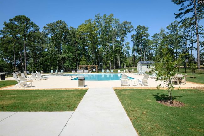 812 Elms Spinney Ln, Home with 0 bedrooms, 0 bathrooms and null parking in Chapin SC | Image 6