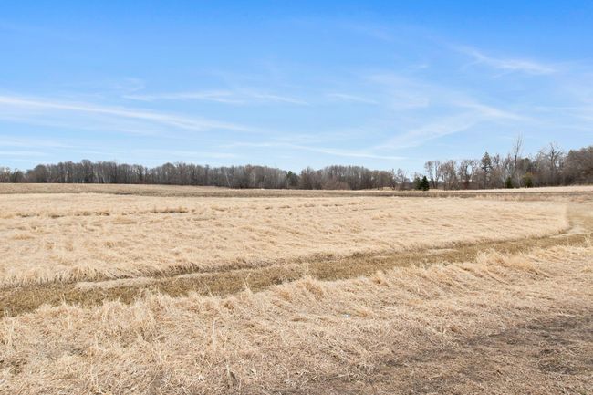 Lot 5 view from Southeast.jpg | Image 4