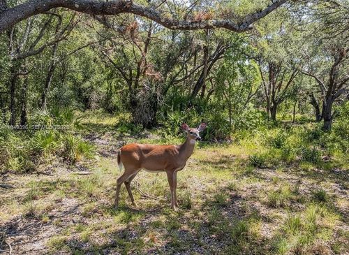 1 Catamount Rd, LABELLE, FL, 33935 | Card Image