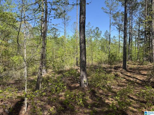 4-Tract 4 County Road 268, Roanoke, AL, 36274 | Card Image