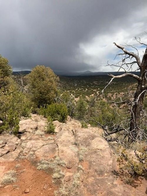 4 Calle Largo, San Jose, NM, 87565 | Card Image