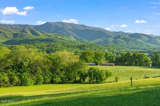 1942 Bailey Bridge Rd, House other with 2 bedrooms, 3 bathrooms and null parking in Limestone TN | Image 5