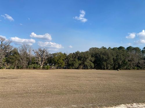 TBD Nw Hwy 316 Sugar Woods Lot#15, Reddick, FL, 32686 | Card Image
