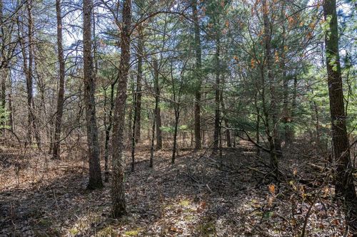 Lot 3 Morros Mile Rd, Necedah, WI, 54646 | Card Image
