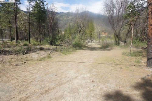 1600 Lake Rd, Junction City, CA, 96048-9757 | Card Image