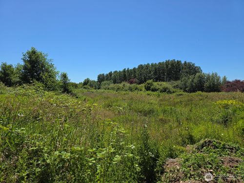 0 Peltier Dr, Point Roberts, WA, 98281 | Card Image