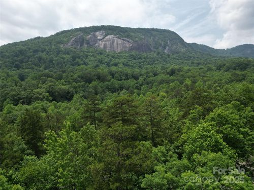 Lot 159 Sullivan Ln, Lake Lure, NC, 28746-8228 | Card Image