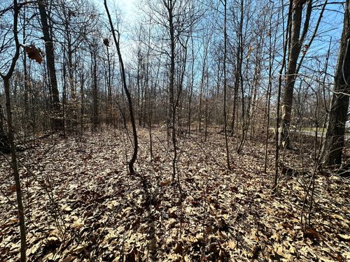 0 Middle Patton Park Rd, Martinsville, IN, 46151 | Card Image